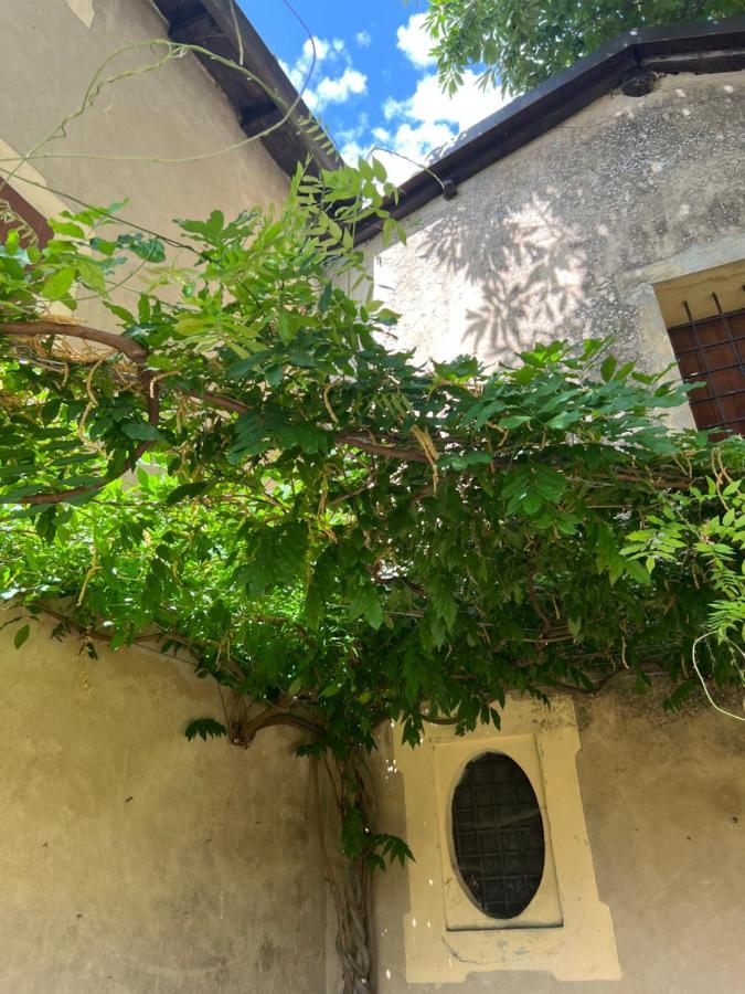 ZocchettaCasa Barattini住宿加早餐旅馆 外观 照片