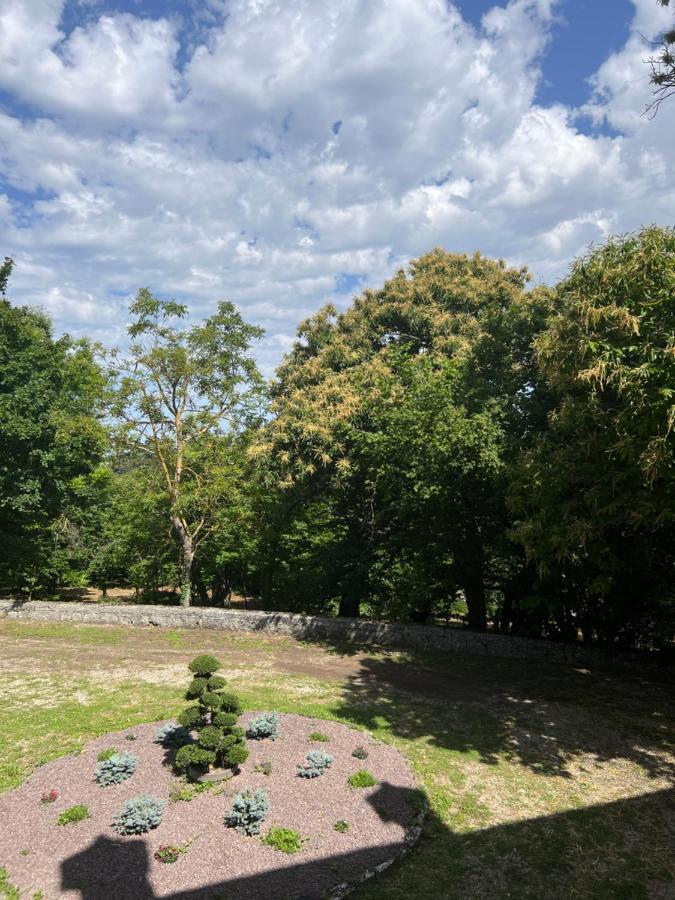 ZocchettaCasa Barattini住宿加早餐旅馆 外观 照片